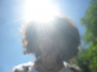 /album/all/sam-1585-jpg/